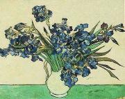 Vincent Van Gogh Vase with Irises oil painting artist